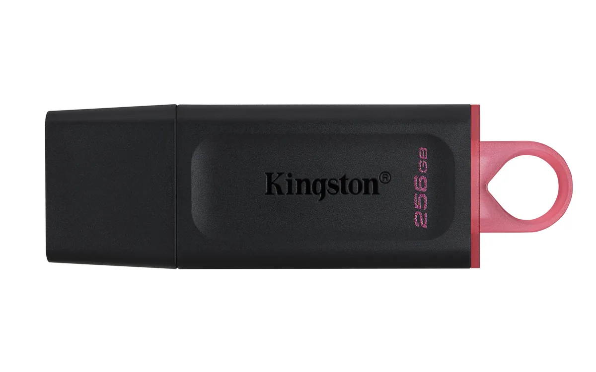 Kingston DataTraveler Exodia - Memoria USB - 256 GB - USB 3.2 Gen 1 - Negro/Rosa