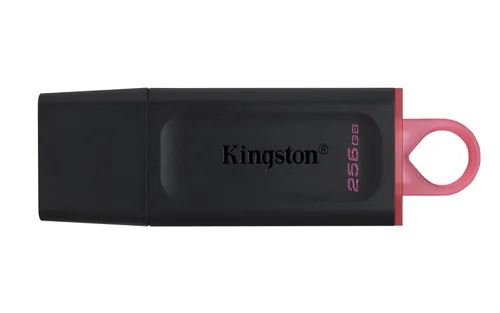 Kingston DataTraveler Exodia - Memoria USB - 256 GB - USB 3.2 Gen 1 - Negro/Rosa