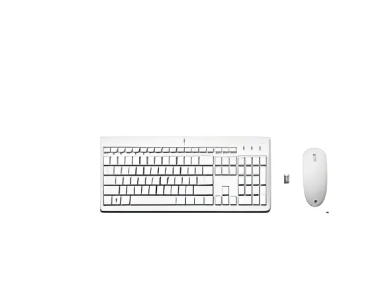 HP - Juego de teclado y Mouse - Inalámbrico - 230 WHT