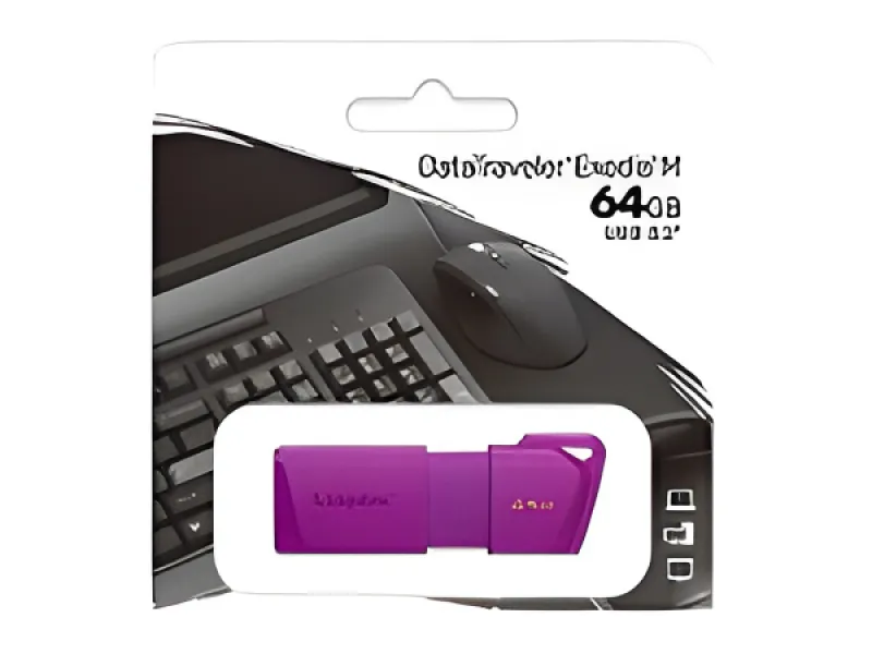 Kingston - Memoria USB - 64 GB - USB 3.2 Gen 1-NEON Púrpura