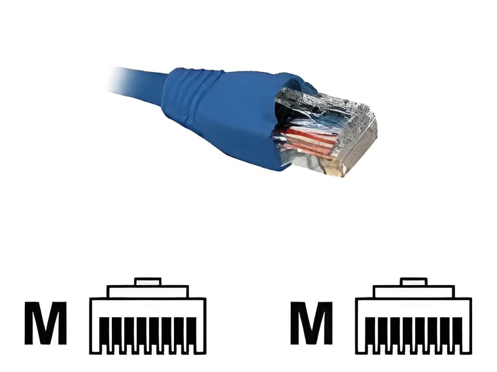 Nexxt - Cable de interconexión - RJ-45 (M) a RJ-45 (M) - 90 cm-UTP-CAT 5e-moldeado, trenzado-azul